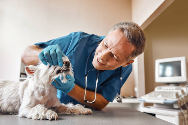 Best 24-Hour Emergency Dentist in Fort Madison, IA